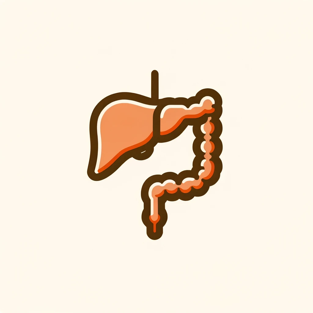 DALL·E 2024 06 11 07.27.03 An image depicting a simplified representation of a human colon and liver. The colon is shown in a light orange color and the liver is shown in a lig