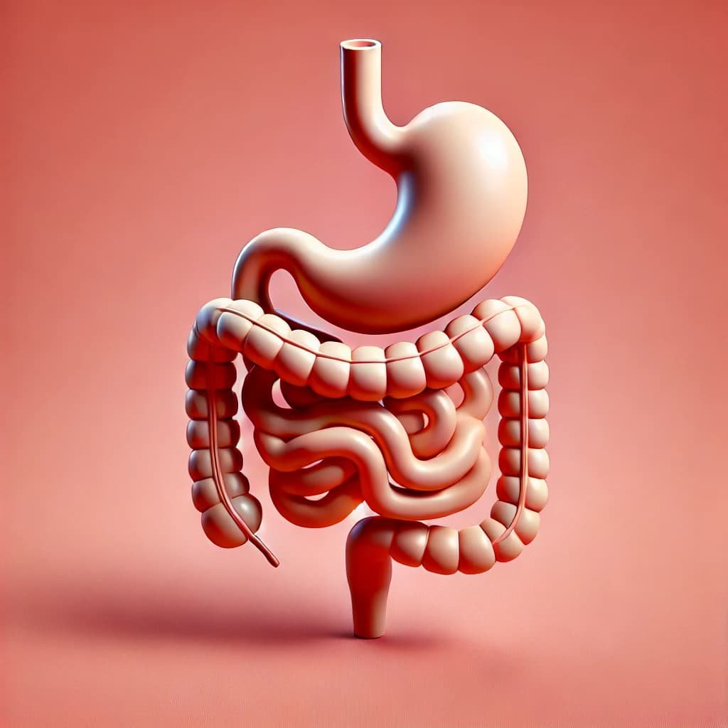 Proton Pump Inhibitors and Fundic Gland Polyps No Significant Association Found