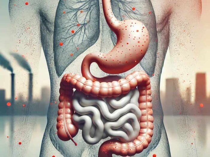 Air Pollution May Harm Your Digestive System